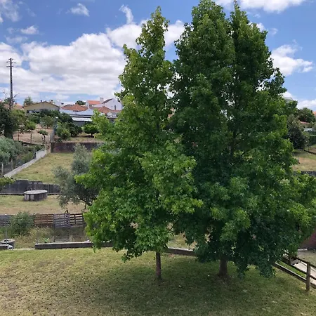 Casa Da Anita Casa de Férias Juncal (Leiria)
